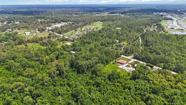 4825 N Fort Christmas Rd, Christmas, FL 32709 - aerial view of property's location featuring a forest