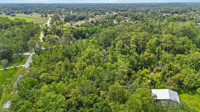 4825 N Fort Christmas Rd, Christmas, FL 32709 - view of property location featuring a forest