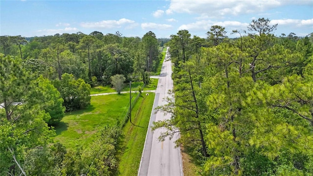 4825 N Fort Christmas Rd, Christmas, FL 32709 - aerial view of a heavily wooded area