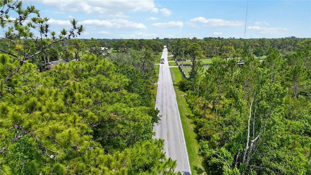 4825 N Fort Christmas Rd, Christmas, FL 32709 - bird's eye view of a heavily wooded area