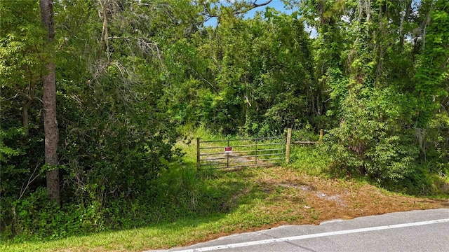 4825 N Fort Christmas Rd, Christmas, FL 32709 - view of street with a gate and a view of trees