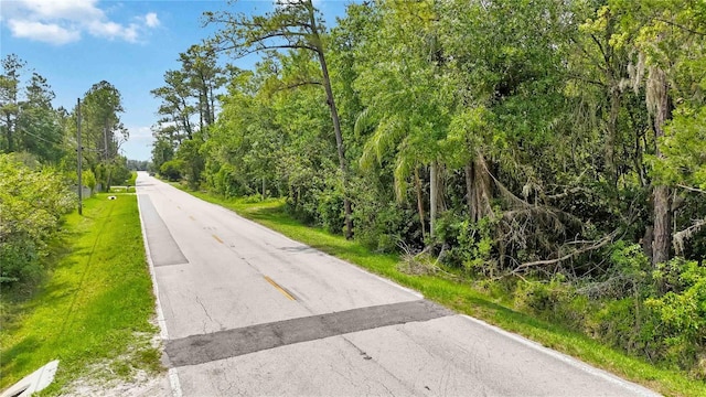 4825 N Fort Christmas Rd, Christmas, FL 32709 - view of asphalt road