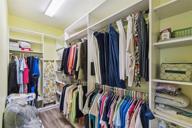 2941 Marlberry Ln, Clermont, FL 34714 - walk in closet featuring wood finished floors