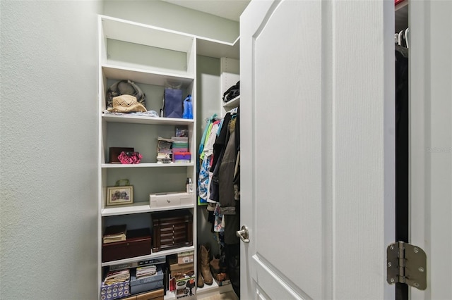 2941 Marlberry Ln, Clermont, FL 34714 - view of closet