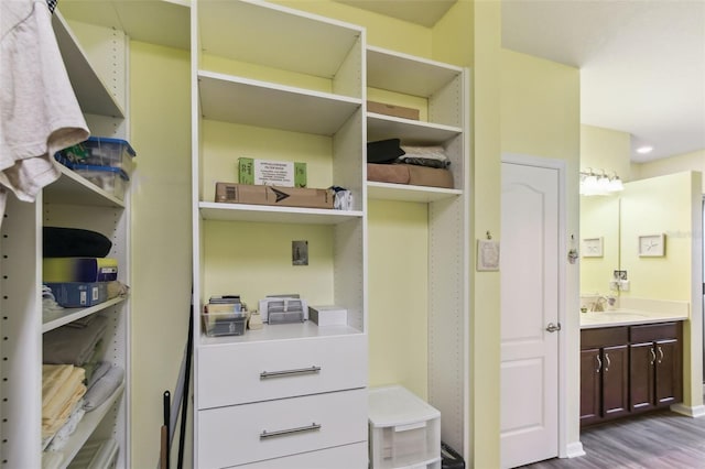 2941 Marlberry Ln, Clermont, FL 34714 - closet featuring a sink