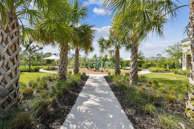 2941 Marlberry Ln, Clermont, FL 34714 - surrounding community
