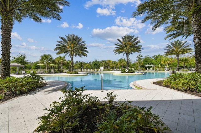 2941 Marlberry Ln, Clermont, FL 34714 - community pool with a patio area