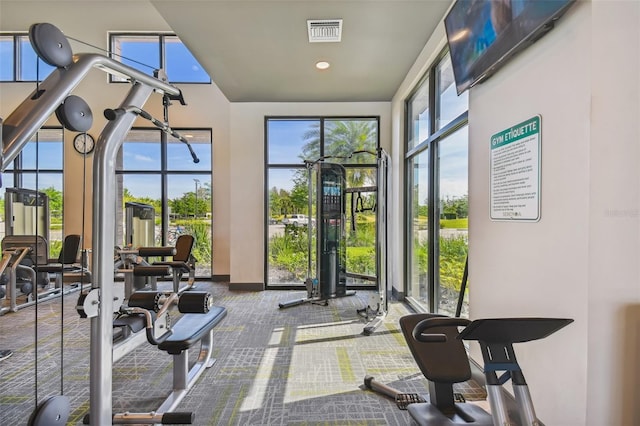 2941 Marlberry Ln, Clermont, FL 34714 - gym with carpet