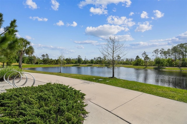2941 Marlberry Ln, Clermont, FL 34714 - water view