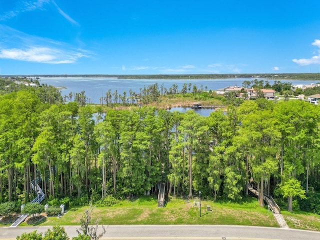 5913 Masters Blvd, Orlando, FL 32819 - water view
