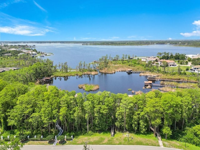 5913 Masters Blvd, Orlando, FL 32819 - water view