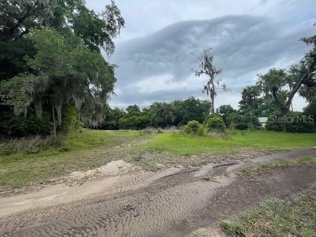 31520 Colby Pl, Sorrento, FL 32776 - view of dirt / gravel road