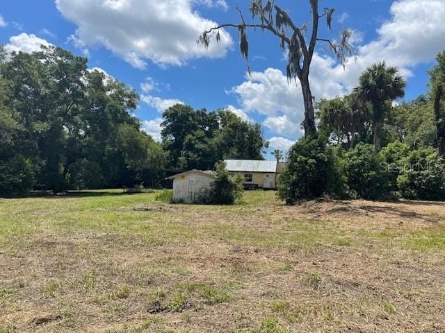 31520 Colby Pl, Sorrento, FL 32776 - view of grassy yard