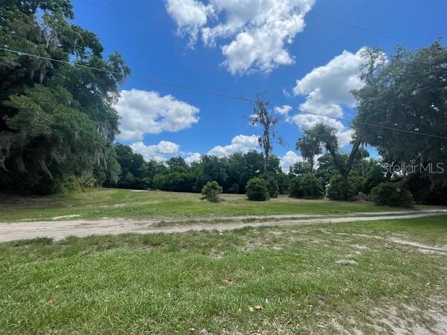 31520 Colby Pl, Sorrento, FL 32776 - view of yard