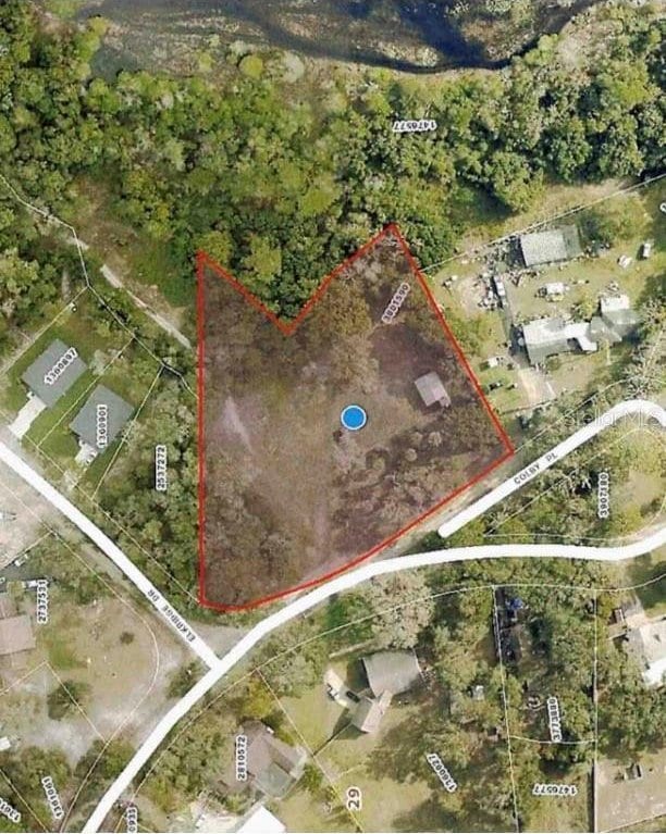 31520 Colby Pl, Sorrento, FL 32776 - photo 7