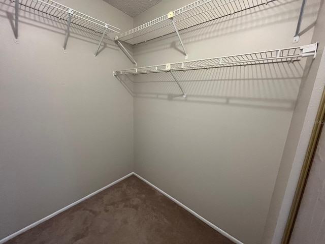 4596 Pheasant Run Dr Unit C, Orlando, FL 32808 - walk in closet featuring carpet flooring