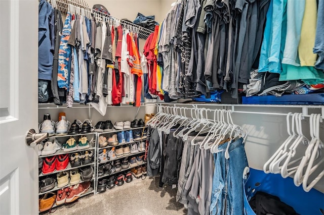 29043 Picana Ln, Wesley Chapel, FL 33543 - spacious closet featuring carpet flooring