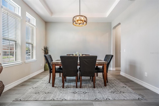 29043 Picana Ln, Wesley Chapel, FL 33543 - dining room featuring a tray ceiling, arched walkways, a chandelier, and healthy amount of natural light