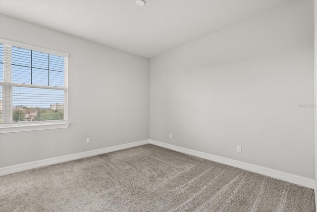7724 Sweet Star Ave, Orlando, FL 32836 - photo 16