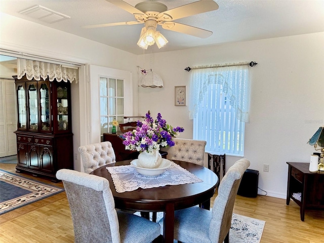 204 Holland St, Lake Wales, FL 33859 - dining room with light wood-style flooring, plenty of natural light, and a ceiling fan