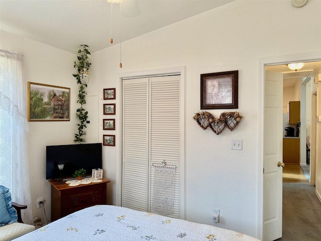 204 Holland St, Lake Wales, FL 33859 - carpeted bedroom featuring a closet