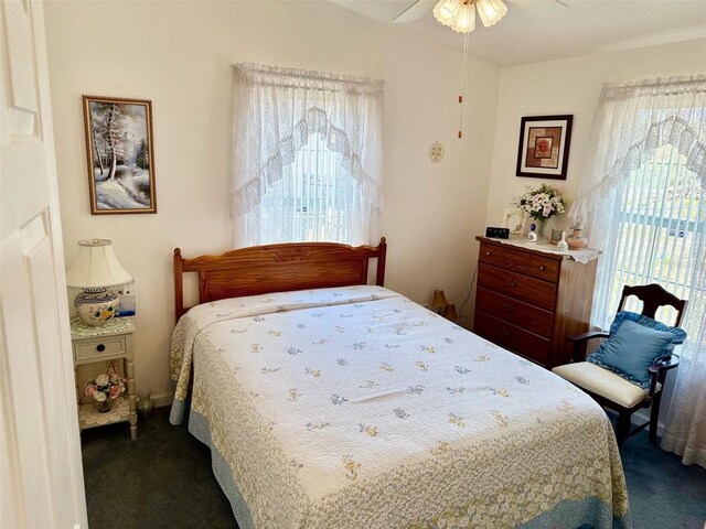 204 Holland St, Lake Wales, FL 33859 - bedroom featuring dark colored carpet and a ceiling fan