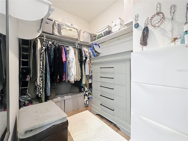 3184 Pinenut Dr, Apopka, FL 32712 - spacious closet with wood finished floors