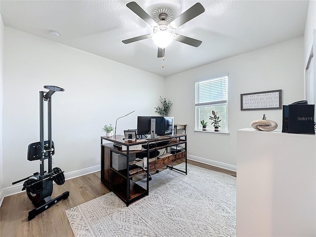 3184 Pinenut Dr, Apopka, FL 32712 - home office featuring wood finished floors, baseboards, and a ceiling fan