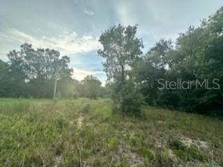NW 56th Ct, Ocala, FL 34482