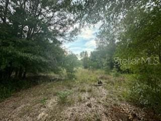 NW 56th Ct, Ocala, FL 34482
