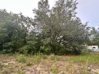 NW 56th Ct, Ocala, FL 34482