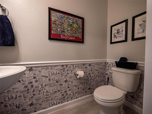391 Cape Honeysuckle Pl, Sanford, FL 32771 - half bathroom featuring wainscoting and toilet