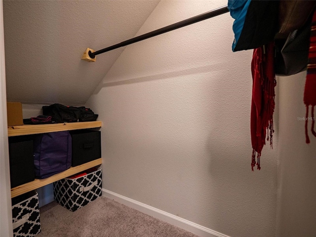 391 Cape Honeysuckle Pl, Sanford, FL 32771 - walk in closet with vaulted ceiling and carpet floors