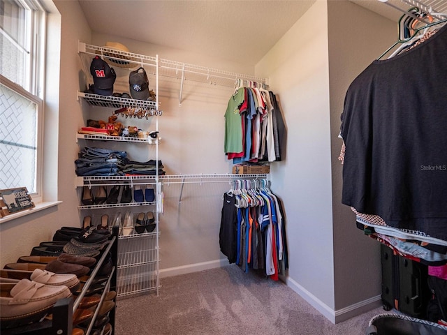 391 Cape Honeysuckle Pl, Sanford, FL 32771 - spacious closet with carpet flooring