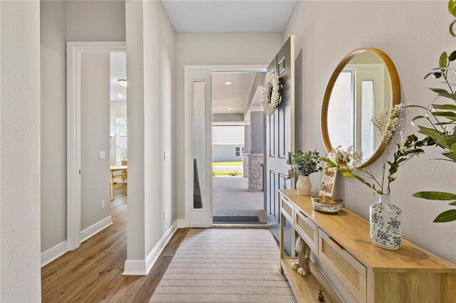 16013 Silver Brook Way, Winter Garden, FL 34787 - entryway with wood finished floors and baseboards
