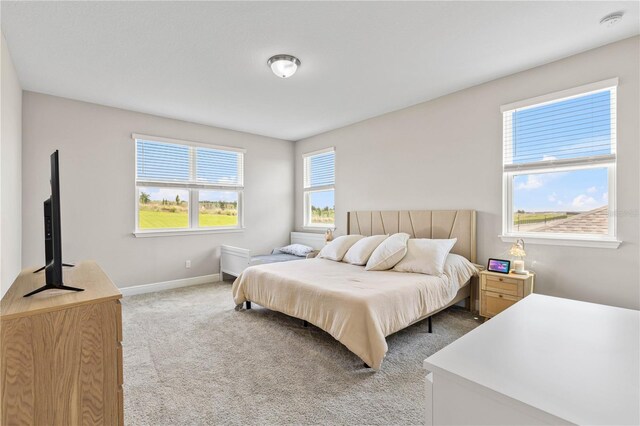 16013 Silver Brook Way, Winter Garden, FL 34787 - bedroom featuring light carpet and baseboards
