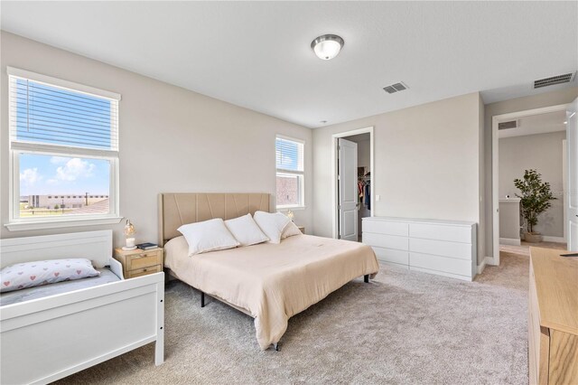 16013 Silver Brook Way, Winter Garden, FL 34787 - bedroom featuring light colored carpet
