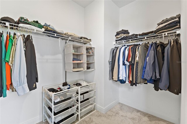 16013 Silver Brook Way, Winter Garden, FL 34787 - spacious closet with carpet flooring