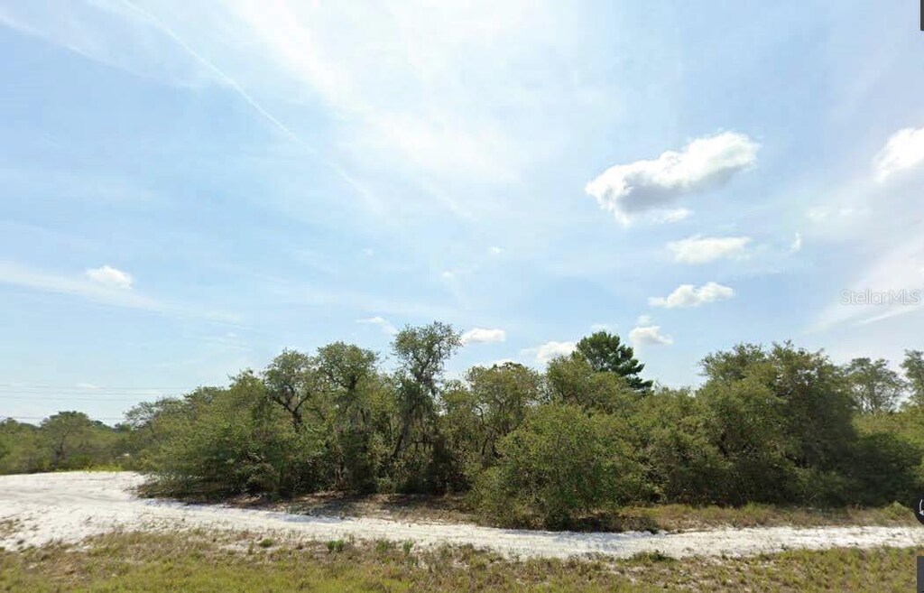 Washington St, Lake Wales, FL 33859 - photo 1