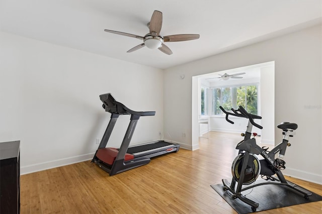 1327 Bridgeport Dr, Winter Park, FL 32789 - exercise area featuring a ceiling fan and light wood finished floors