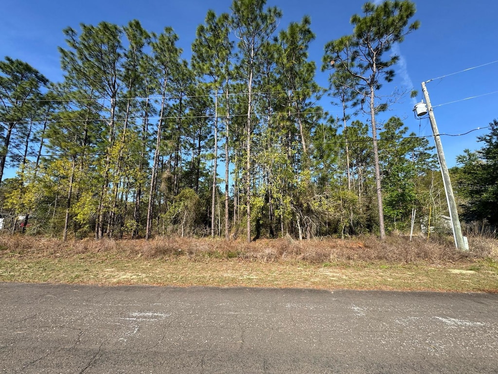 7004 N Lockwood Way, Citrus Springs, FL 34434
