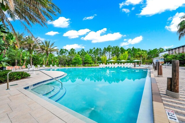 652 Benoi Dr, Davenport, FL 33896 - community pool with a patio area and view of wooded area