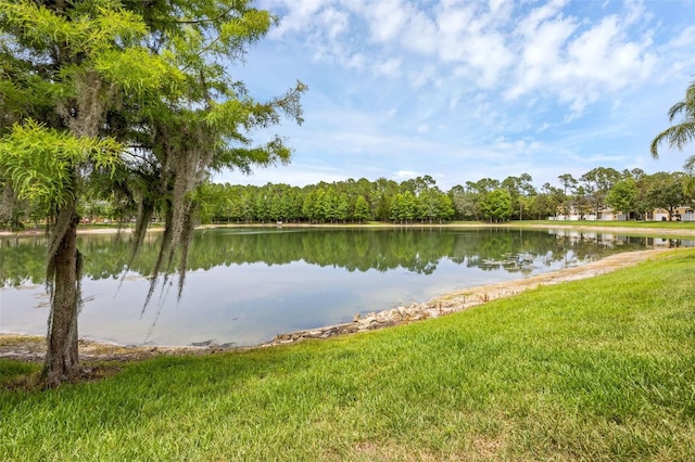 14025 Oasis Springs Ln Unit 901, Windermere, FL 34786 - photo 48