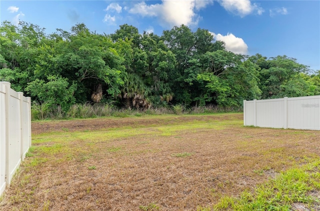 1267 Berry Ln, Davenport, FL 33837 - view of yard
