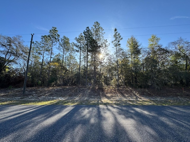 8161 N Triana Dr, Citrus Springs, FL 34434
