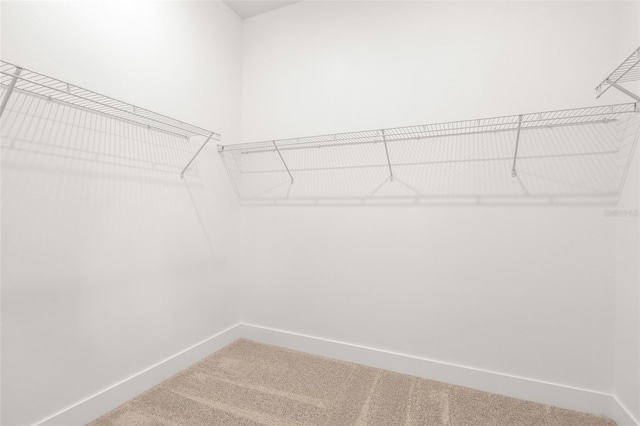 1257 Champions Dr, Daytona Beach, FL 32124 - photo 19