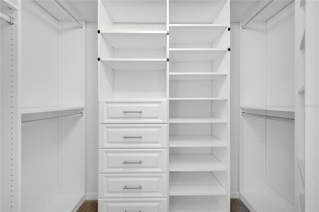 10955 Lemay Dr, Clermont, FL 34711 - view of walk in closet