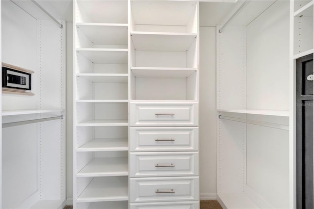 10955 Lemay Dr, Clermont, FL 34711 - view of spacious closet