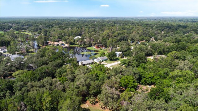 8121 Via Bonita, Sanford, FL 32771 - photo 36