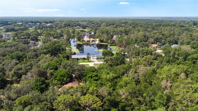 8121 Via Bonita, Sanford, FL 32771 - photo 37